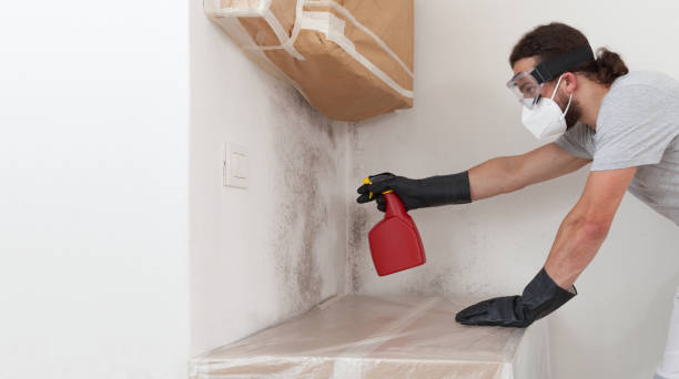 Professional Basement Mold Remediation technician working in Hawthorne, NJ
